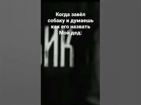 бобик мем - YouTube