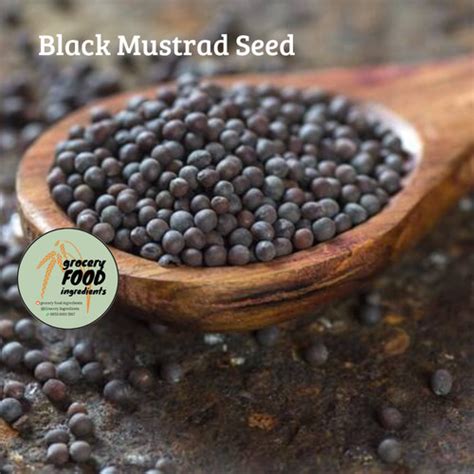 Jual Black Mustard Seed Biji Sawi 1kg Jakarta Timur Grocery