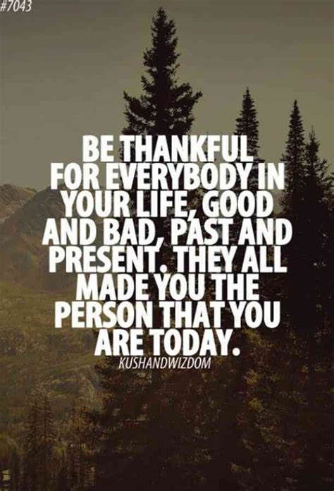 50 Gratitude Memes To Share When You're Feeling Thankful | Thanksgiving ...