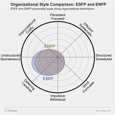 Esfp And Enfp Compatibility Relationships Friendships And Partnerships