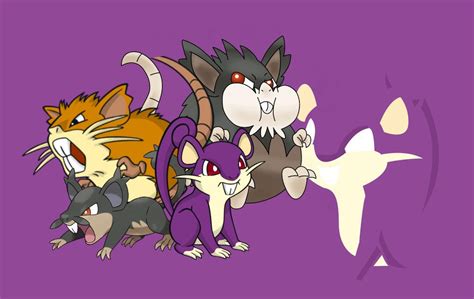 Rattata Evolution Backgroundwallpaper By Jaceymon On Deviantart