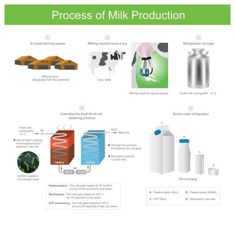 Premium Vector Process Of Milk Production Use Of Heat To Destroy