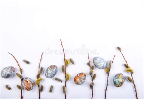 Branches Of Pussy Willow On Background Of Blue Sky Stock Image Image Of Branches Bloom