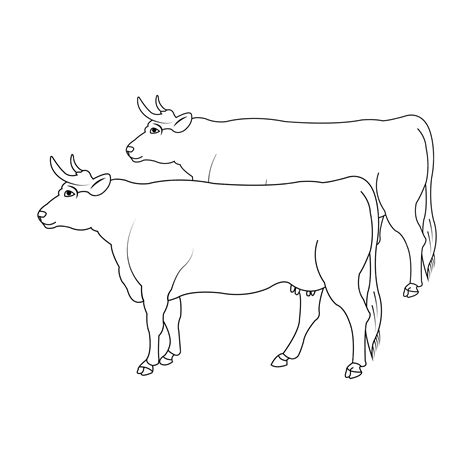 Premium Vector Cow Icon