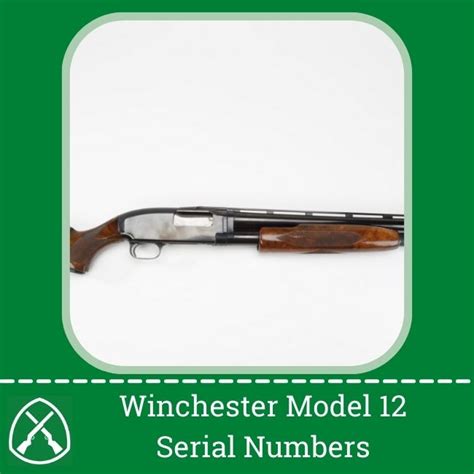 Winchester 12 Serial Numbers: [Updated Dec 20, 2024]