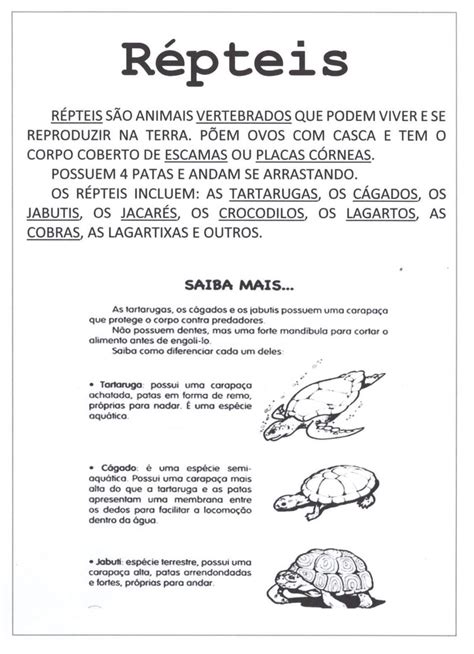 Atividades Animais Mamiferos Repteis Anfibios Peixes E Aves 3 Ano Roaredu