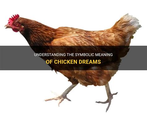 Understanding The Symbolic Meaning Of Chicken Dreams Shunspirit