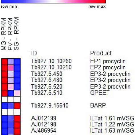 Major Changes In Transcript Abundance During T Brucei Development In