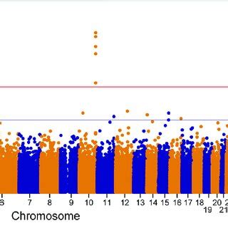 Genome Wide Association Study GWAS Manhattan Plot A And Q Q Plot