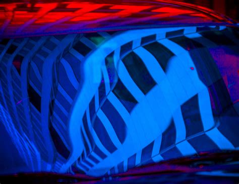 Reflections in Car Window - Jack McConnell Photography