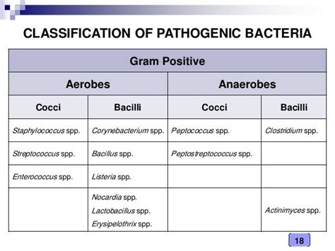 Medical Microbiology Laboratory Pathogenic Bacteria Classification