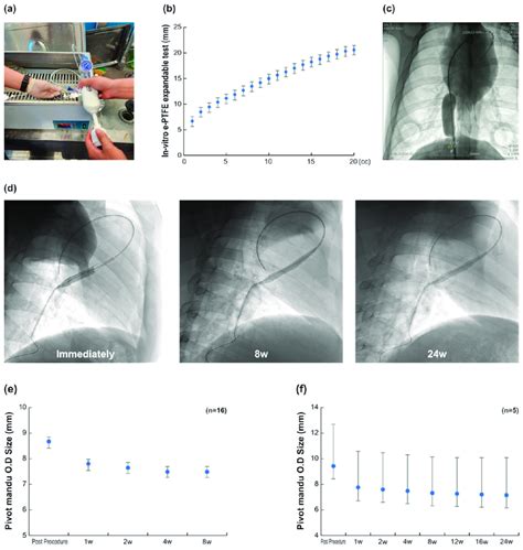 Pivot Mandu 3D Balloon Spacer Testing In Vivo And In Vitro A In