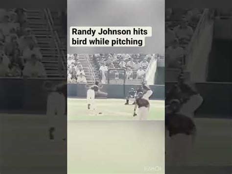 Randy Johnson Hits Bird With Baseball Youtube