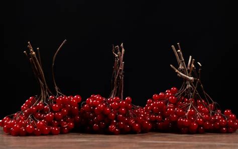 Premium Photo A Bunch Of Ripe Viburnum Berries On A Black Background