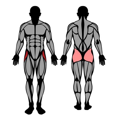 Hip Abduction Machine Muscles Worked And Technique Strengthlog