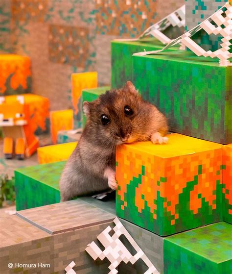 Hamster In The Minecraft Dungeons Redstone Mines 1 In 2024