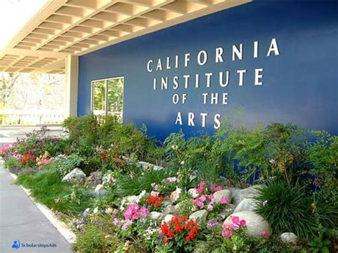 Calarts Acceptance Rate College Learners