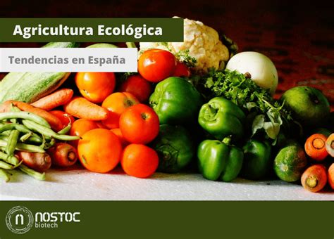 Descubre los beneficios de los alimentos ecológicos Eco Signal