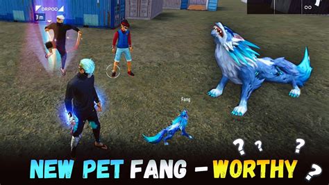 NEW PET FANG 😵 ABILITY 💥 - YouTube