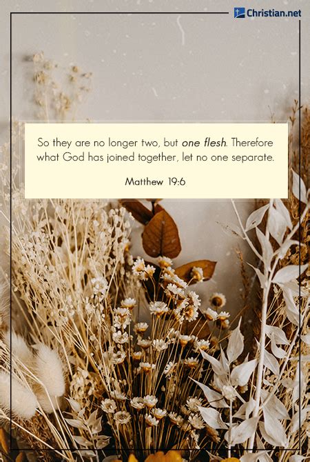 60 Bible Verses About Missing Someone In Heaven Christian Net