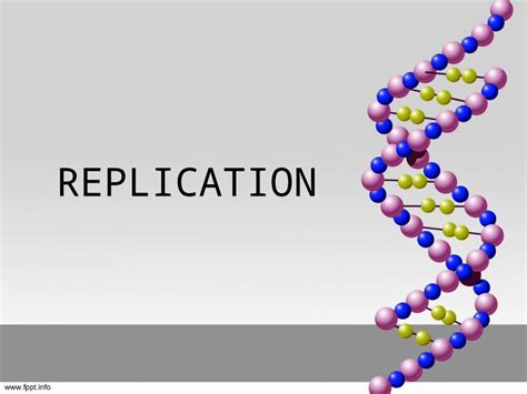 Ppt Replication And Protein Synthesis Dokumen Tips