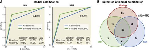 Intravascular Imaging And Histological Correlates Of Medial And Intimal