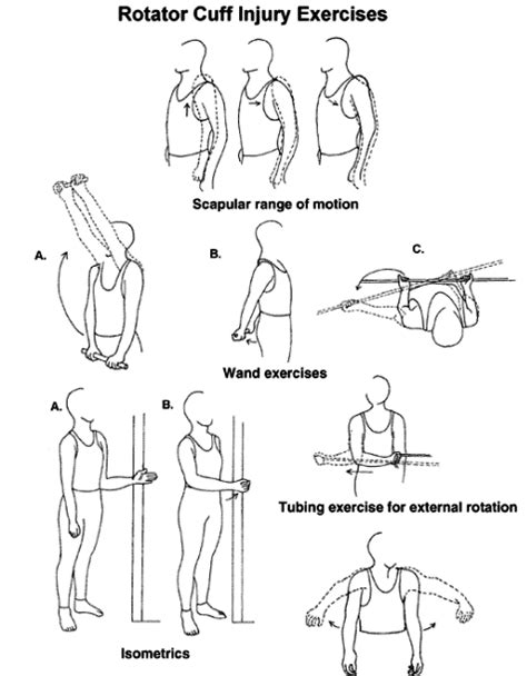 Home Exercises For Torn Rotator Cuff – Online degrees