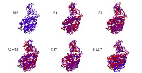 Snapshots From Molecular Dynamics Md Simulations The Final Download Scientific Diagram