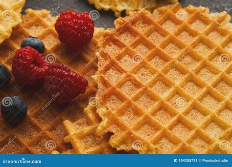 Round Belgium Waffles With Berries Stock Image Image Of Pastry