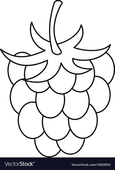 Raspberry Outline