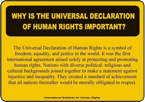 Describe The Universal Declaration Of Human Rights