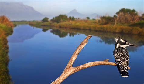 Photographing animals in their environment - ORYX Photo Tours