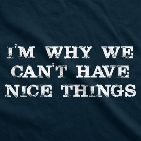 Im Why We Cant Have Nice Things T Shirt Funny Sarcastic Humor Quote