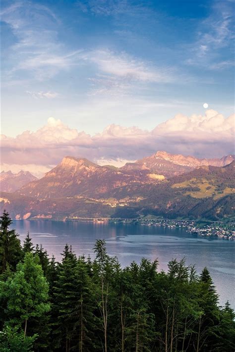 Fondos de pantalla Suiza Lake Zurich lago bosque árboles montañas