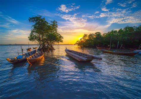 A Food Lover's Guide to Batam: Must-Try Local Dishes - Cocanatural