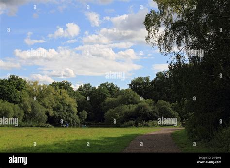 Epsom Common, Epsom, Surrey, England UK Stock Photo - Alamy