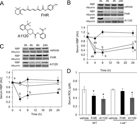 Lecithin Retinol Acyltransferase Is Critical For Cellular Uptake Of