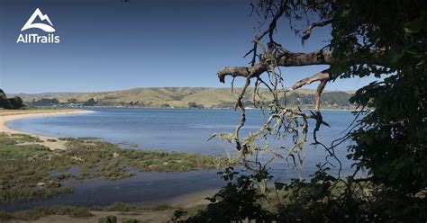 Best Hikes And Trails In Tomales Bay State Park Alltrails