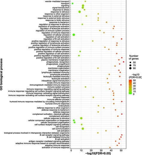 Gene Ontology Biological Processes Enrichment For The Genes Download Scientific Diagram