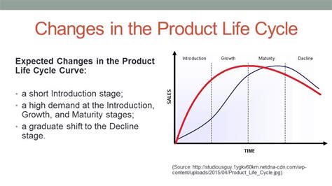 Smart Bags Product Life Cycles Stages 281 Words Presentation Example