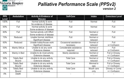 Palliative Performance Scale Pps Example Free Pdf 59 Off