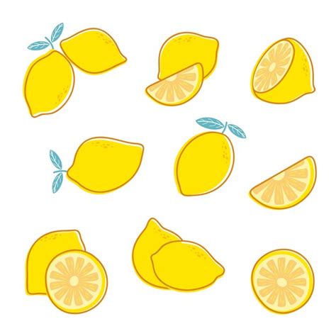 Premium Vector Cut Fresh Lemon Set