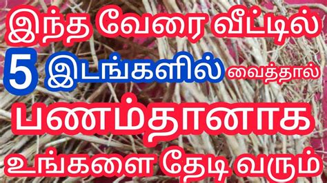 இந்த வேரை வீட்டில் இந்த 5 இடத்தில் கட்டாயம் வையுங்கள்கடன் சுமை தீர்ந்து பணமழை பொழிவது உறுதி