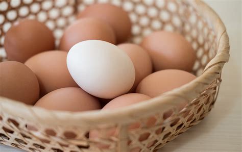 The Health Benefits Of Eggs Parkview Health