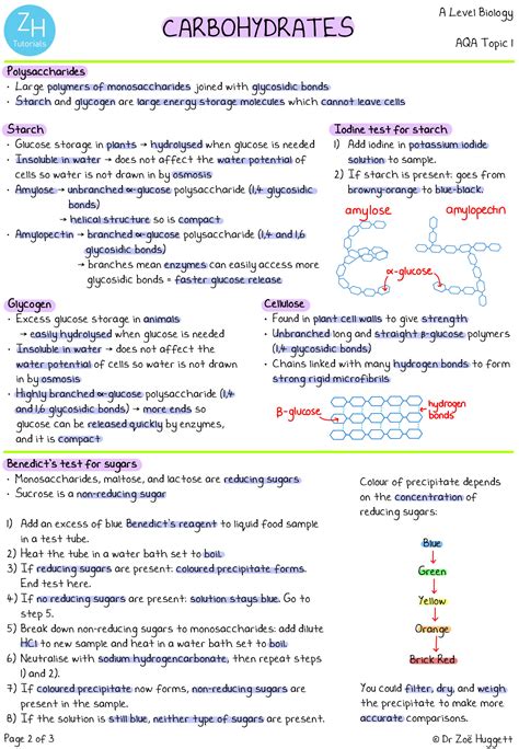 Solution Aqa Topic Biological Molecules Zhtutorials Studypool