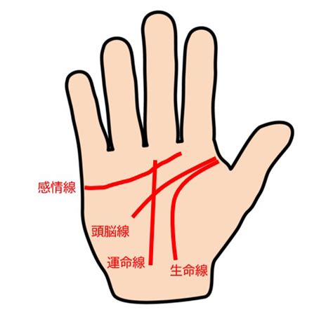 占い師がわかりやすく手相の見方を解説！ あなたの運勢や性格をセルフ占い Oggi Jp