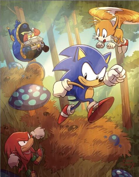 Pin By Paula On Sonic The Hedgehog Series Sonic The Hedgehog