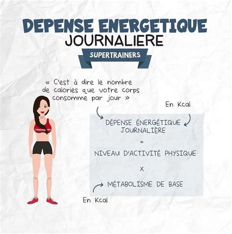 Dépense énergétique journalière Renforcement des muscles Musculation