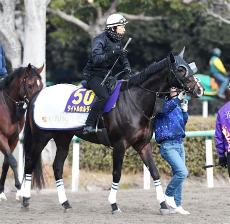 【有馬記念】タイトルホルダー やる気マンマン 「イメージ通りの調教」で万全仕上がり競馬・レースデイリースポーツ Online