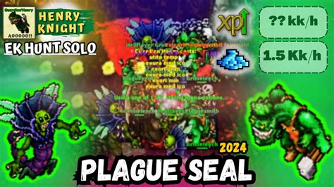 Tibia Knight Level Hunt Solo Plague Seal Ek Hunt Solo